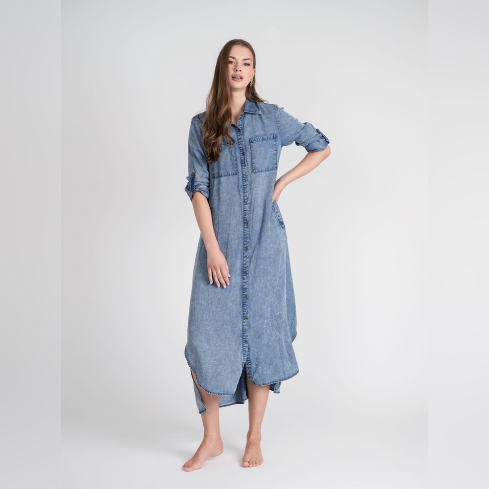 Bliss Denim Shirtdress